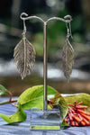 Plume - Silver Earrings - zaphire_kuranda